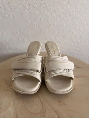 Christian Dior Dio(r)evolution Leather Heeled Slide